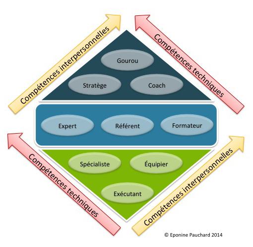 Roles_professionnels